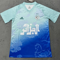 25/26 Algeria Light Blue Training Shirts 25/26 Algeria Light Blue Training Shirts