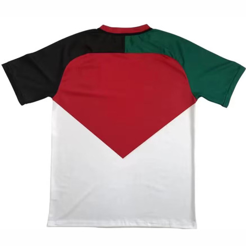 24/25 Palestine National Flag Special Edition  Soccer Jersey