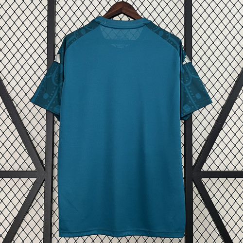 24/25 Mexico Green Training shirts