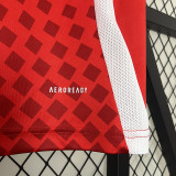 24/25 Chile Home Fans Soccer Jersey