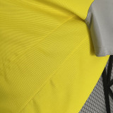24/25 Flamengo Yellow Polo Training shirts（翻领）