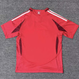 25/26 ST Louis City Home Fans Soccer Jersey