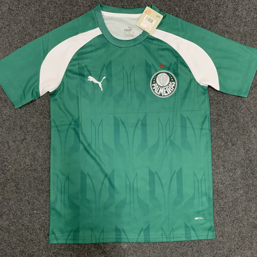 24/25 Palmeiras Green Training shirts