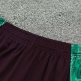 24/25  Mexico Green Tank top and shorts suit