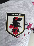 25/26 Japan Fox Special Edition Player Version  Soccer Jersey狐狸图