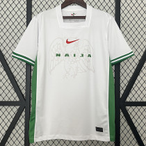 24/25 Nigeria Home Fans Soccer Jersey