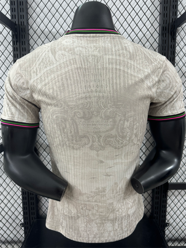 25/26 Portugal Special Edition Khaki  Player Version Soccer Jersey