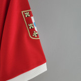1973/1974 Benfica Red Retro Soccer Jersey
