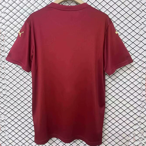 24/25 RB Leipzig Limited Edition Fans Soccer Jersey