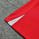 24/25 LIV Red Gray Shoulder Training Short Suit(红色灰肩）