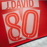 24/25 Lille 80th Anniversary Edition Soccer Jersey