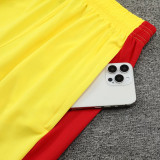 24/25 LIV Yellow Training Shorts Pants (大红边）