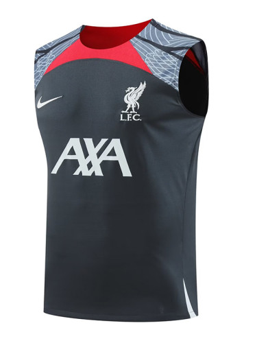 24/25 LIV Dark Grey Tank top Training Shirts