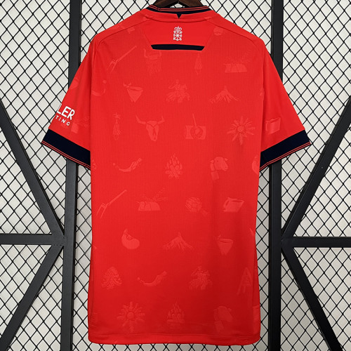 24/25 Osasuna Home Fans Soccer Jersey