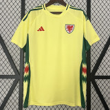 2024 Wales Away Fans Soccer Jersey