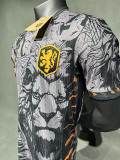 24/25 Netherlands Grey Jordan Edition Player Version Soccer Jersey(5A)