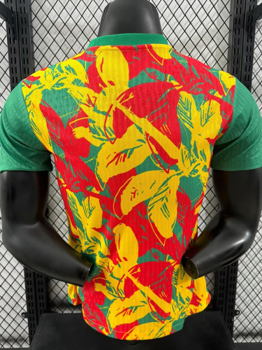 24/25 Senegal Green Puzzle Player Version Training Shirts