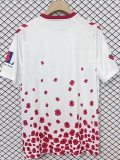 24/25 Sunderland Anniversary Edition Fans Soccer Jersey