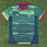 25/26  Portugal Green  Training shirts