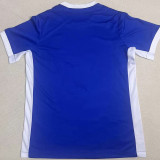 24/25  birmingham Home Fans Soccer Jersey