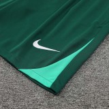 24/25 Portugal Green Training Short Suit