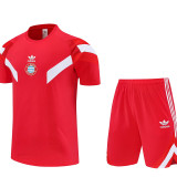 25/26 Bayern  Red Training Short Suit