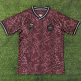 24/25 Denmark Special Edition  Fans Soccer Jersey