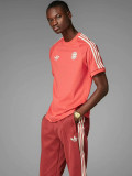 24/25 Bayern Red Cotton T-shirt