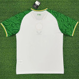 2025 Ireland  Away Fans Soccer Jersey