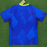 25/26 Brazil Away  Fans Soccer Jersey