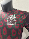 24/25 Mexico Home Long Sleeve  Player Version Soccer Jersey(长袖球员)
