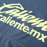 24/25 Club America Grey Hooded  Tracksuit
