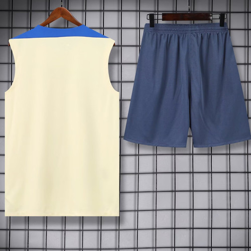 24/25 INT Yellow Tank top and shorts suit