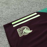 24/25  Mexico maroon Training Shorts Pants