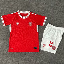 2024 Denmark Home Kids Soccer Jersey 2024 Denmark Home Kids Soccer Jersey