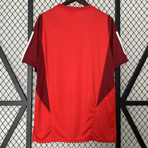 24/25  Internacional  Red Training shirts