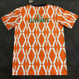 24/25 Cote d'Ivoire Stripe Special Edition Fans Soccer Jersey