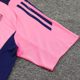 24/25 ARS Pink Blue Shoulders Training Shirts(蓝肩）