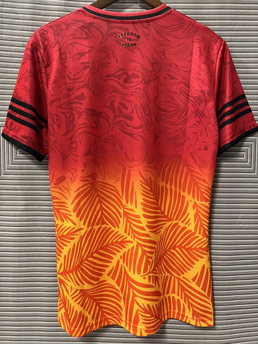 24/25 Inter Miami Red Yellow Special Edition Fans Soccer Jersey