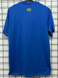 25/26 Tigres Blue  Retro T-shirts