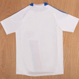 2010/2011 Lyon Home 60th Anniversary Edition Retro Soccer Jersey