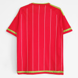 2015/2016  Wales  Home Retro Soccer Jersey