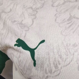 25/26  Palmeiras Third  Player Version Soccer Jersey