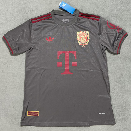 24/25 Bayern Grey 125th Anniversary Edition  Fans Soccer Jersey
