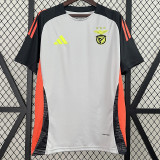 24/25 Benfica White Grey Training shirts