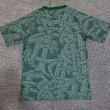 24/25 Fluminense Green Pieces  Training shirts