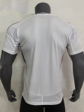 24/25 Lyon Home Fans Soccer Jersey