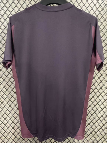 25/26 ARS Purple Fans Training shirts