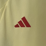 2024 Wales Away Fans Soccer Jersey