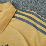 25/26  Argentina Mud Yellow Polo Collar Pants Set